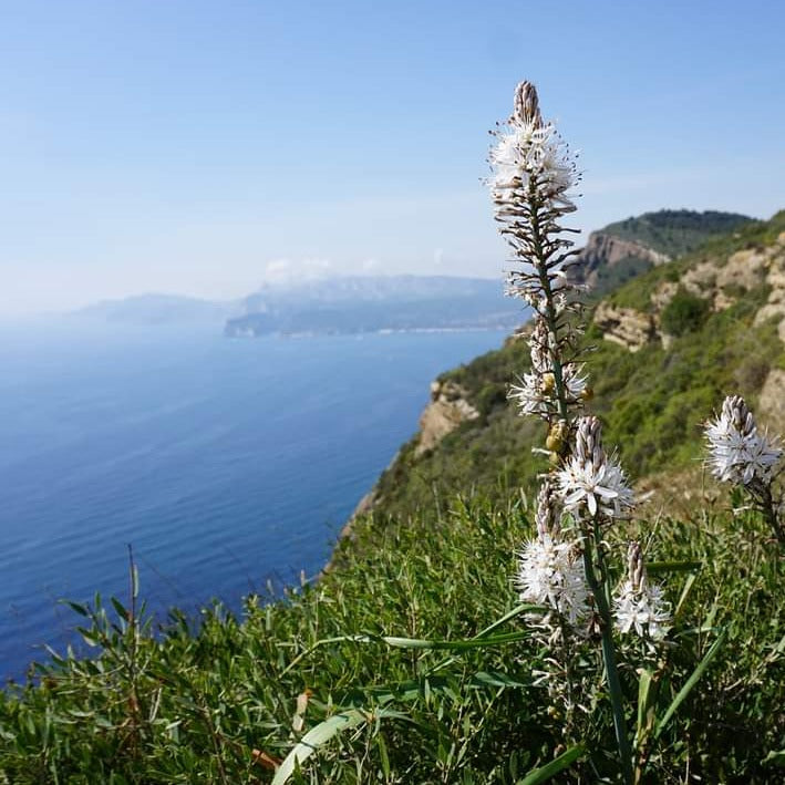 26-29 settembre 2024 | Calanques di Marsiglia