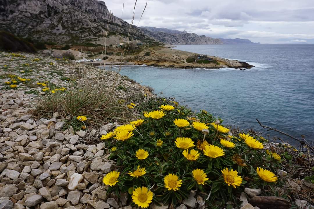 26-29 settembre 2024 | Calanques di Marsiglia