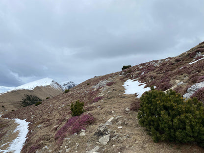 20-21 aprile 2025 | Dai monti alla riviera. Pasqua sul Grande Lago