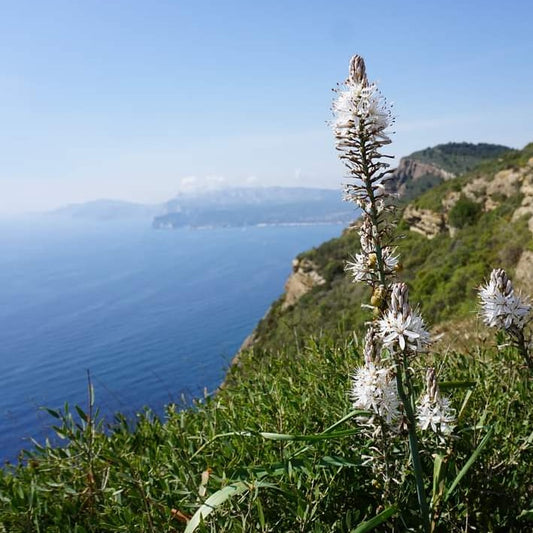 26-29 settembre 2024 | Calanques di Marsiglia