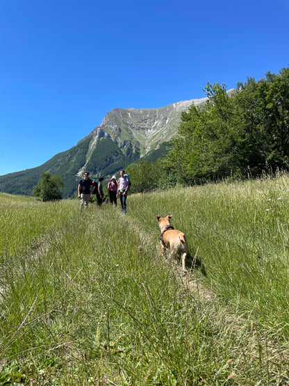 13-15 giugno 2025 | Due monti, due leggende: Traversata dei Monti Sibillini