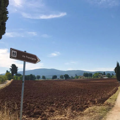28-30 marzo 2025 | Trekking sulla Via Francigena Toscana