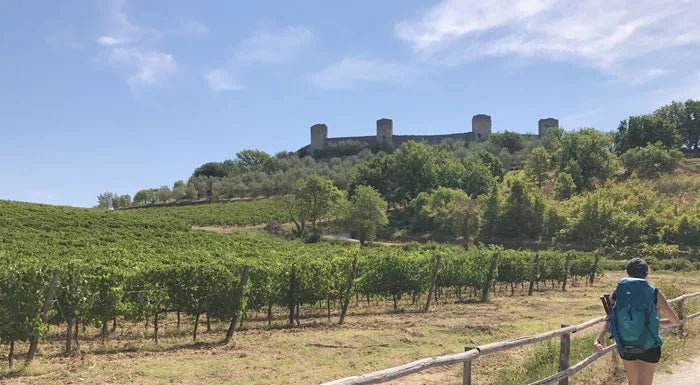 28-30 marzo 2025 | Trekking sulla Via Francigena Toscana
